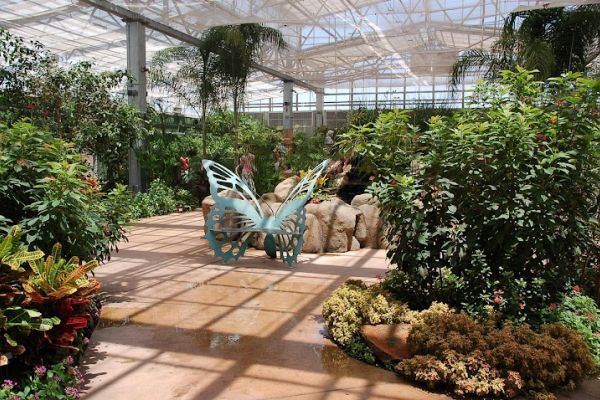 Butterfly Wonderland